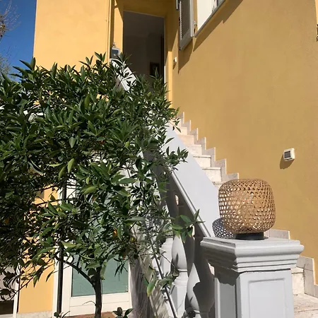 La Tua Casa Con Giardino A 2 Passi Dal Centro * 摩德纳