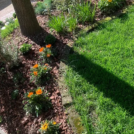 La Tua Casa Con Giardino A 2 Passi Dal Centro * 摩德纳