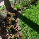 La Tua Casa Con Giardino A 2 Passi Dal Centro * Μόντενα