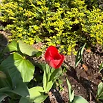 La Tua Casa Con Giardino A 2 Passi Dal Centro Dom wakacyjny *