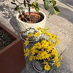 La Tua Casa Con Giardino A 2 Passi Dal Centro Dom wakacyjny Modena