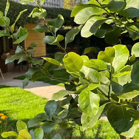 La Tua Casa Con Giardino A 2 Passi Dal Centro Modena