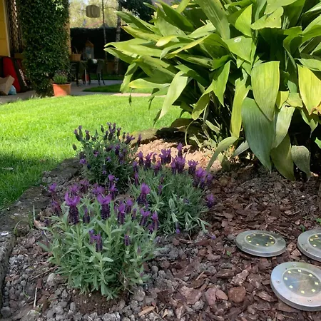 Ferienhaus La Tua Casa Con Giardino A 2 Passi Dal Centro