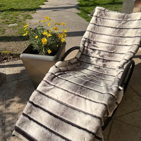 La Tua Casa Con Giardino A 2 Passi Dal Centro 摩德纳