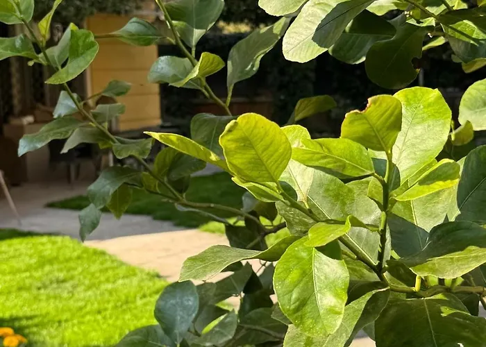 La Tua Casa Con Giardino A 2 Passi Dal Centro مودينا